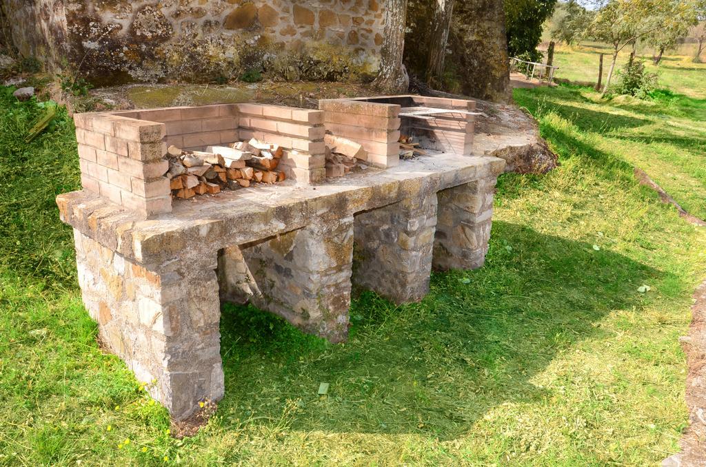Agriturismo La Fontaccia Montiano  Ngoại thất bức ảnh